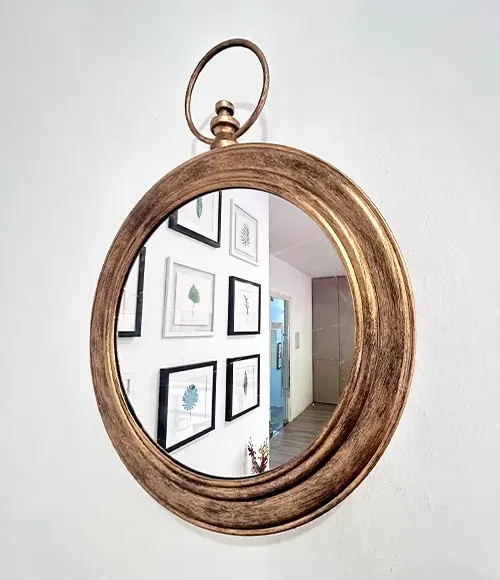 PreMo Mirror Products