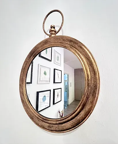 PreMo Mirror Products