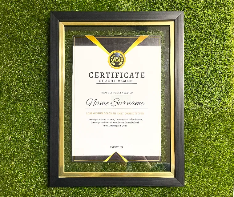 PreMo Frame Certificate / Appreciation Frame - Best Selling Gold Series