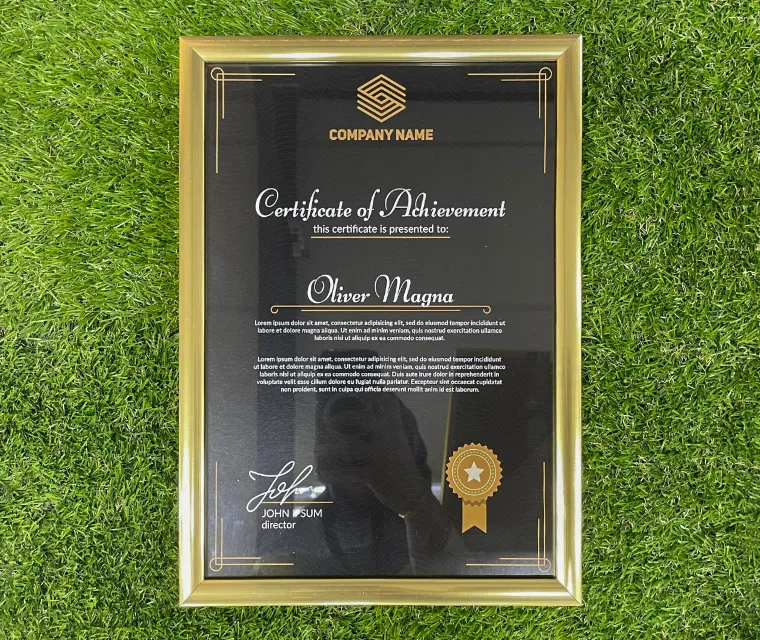 PreMo Frame Certificate / Appreciation Frame - Best Selling Gold Series