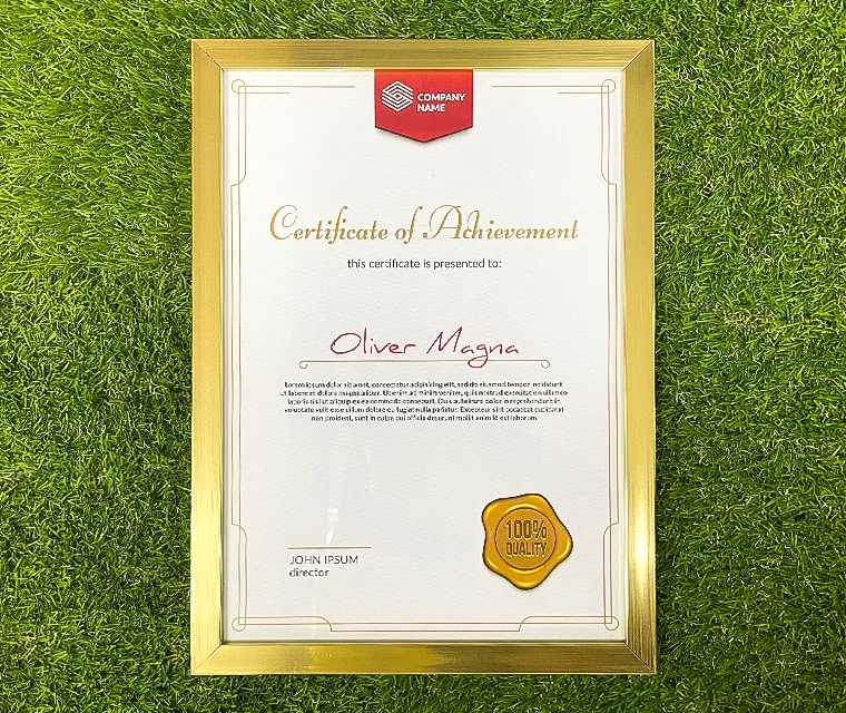 PreMo Frame Certificate / Appreciation Frame - Best Selling Gold Series