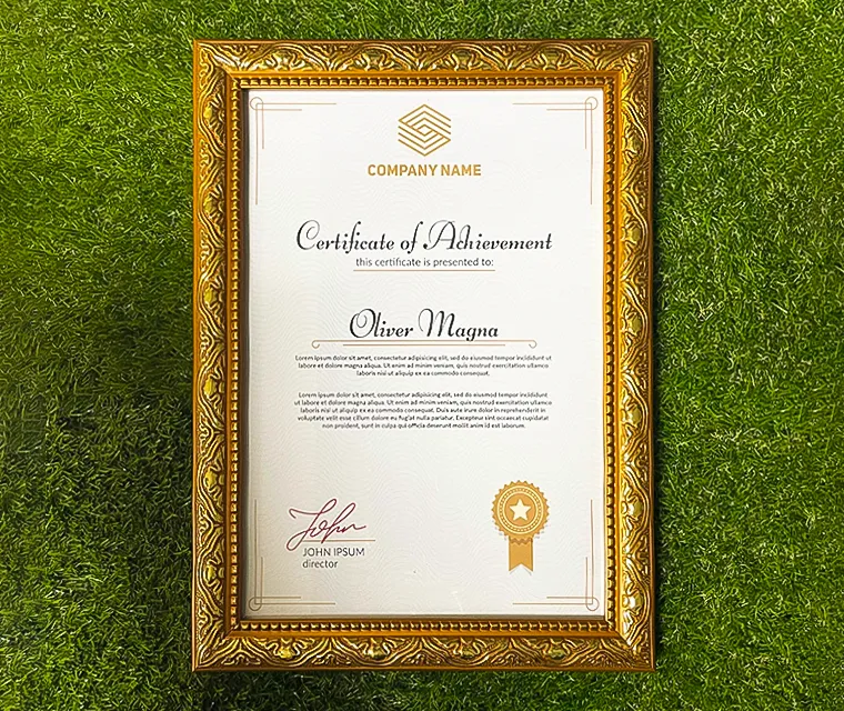 PreMo Frame Certificate / Appreciation Frame - Best Selling Gold Series