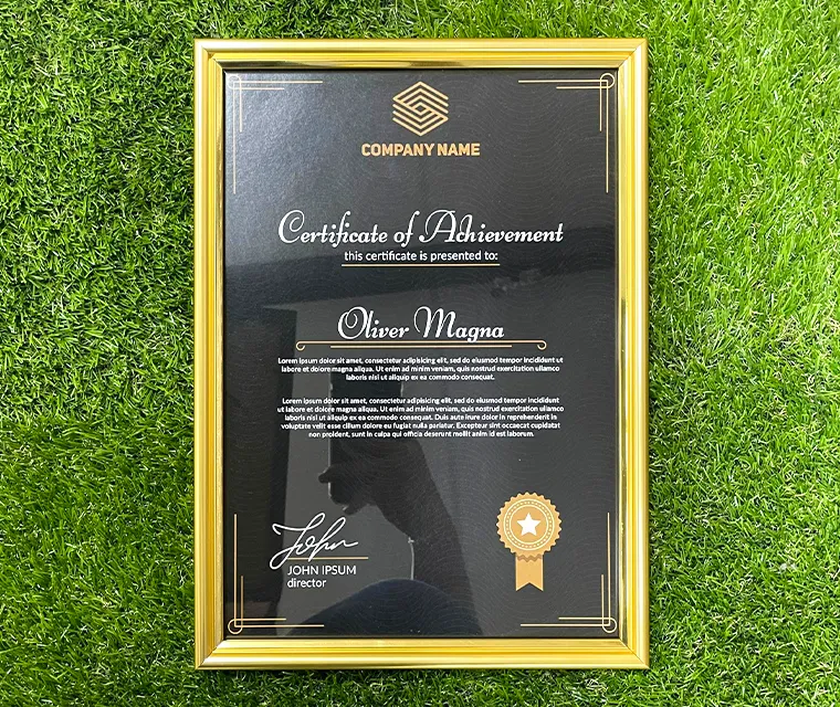 PreMo Frame Certificate / Appreciation Frame - Best Selling Gold Series