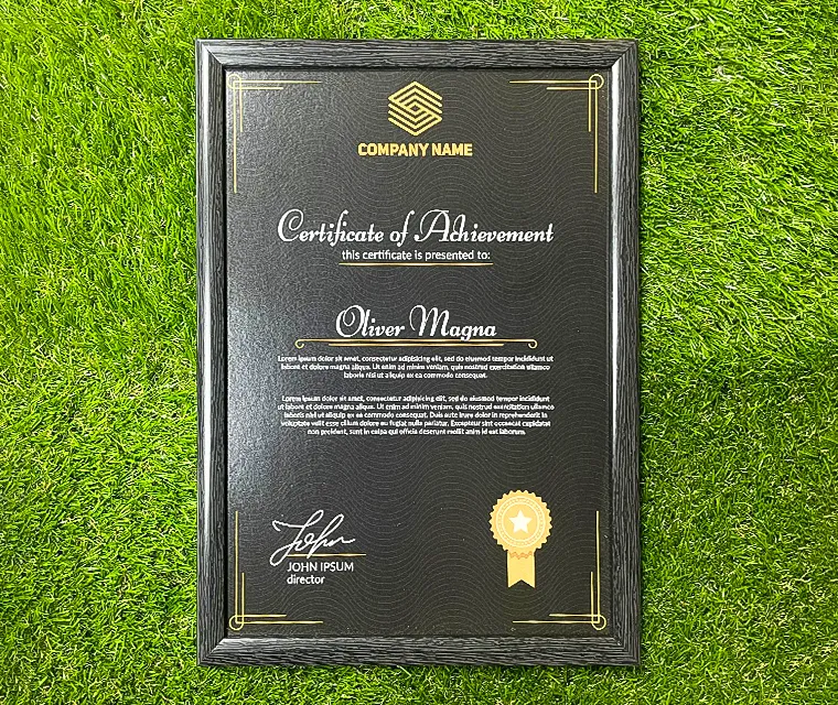 PreMo Frame Certificate / Appreciation Frame - Regular Series