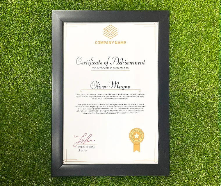 PreMo Frame Certificate / Appreciation Frame - Regular Series