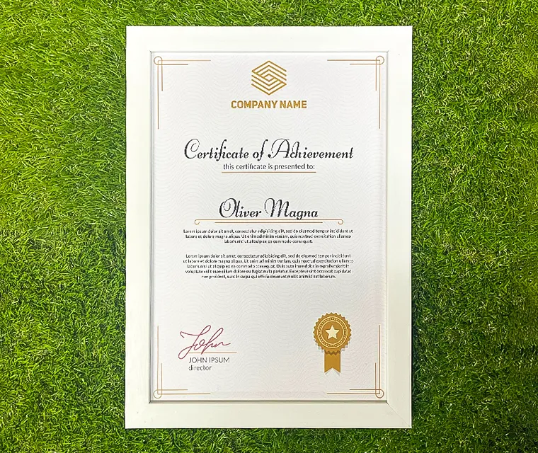 PreMo Frame Certificate / Appreciation Frame - Regular Series